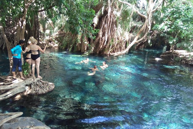 Kikuletwa Chemka Hotspring