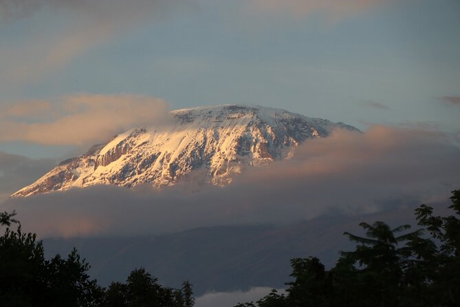 Kilimanjaro Climbing Tours via Northern Circuit- 10 Days - Tour Itinerary Details