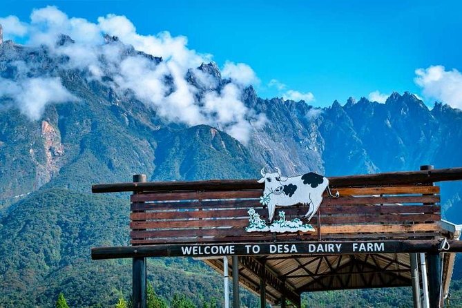 Kinabalu Park With Rumah Terbalik & Desa Cow Farm - Meeting and Pickup Details