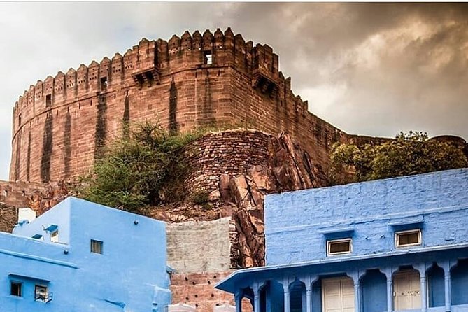 Kite Feeding Experience at Mehrangarh Fort, Jodhpur