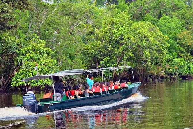 Klias River Safari Tour From Kota Kinabalu - Tour Details