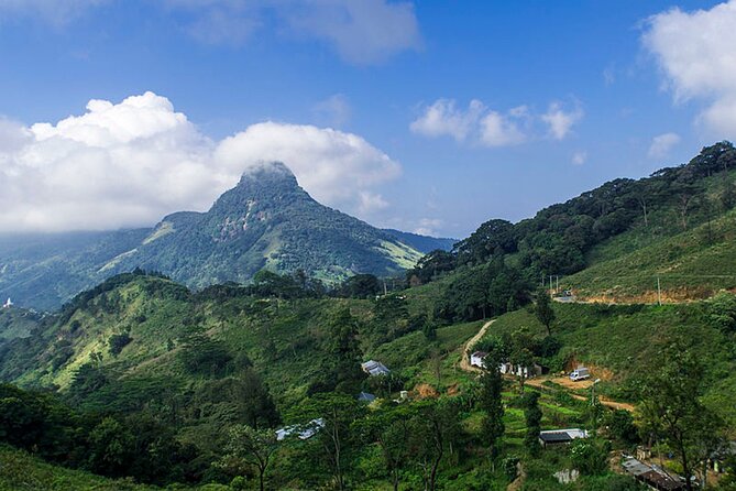 Knuckles and Riverston Trekking in 1 Day