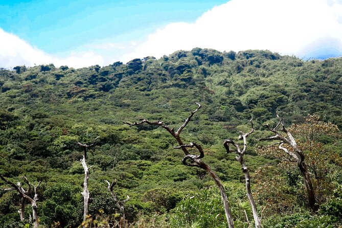 Knuckles Mountain Range Hike From Kandy