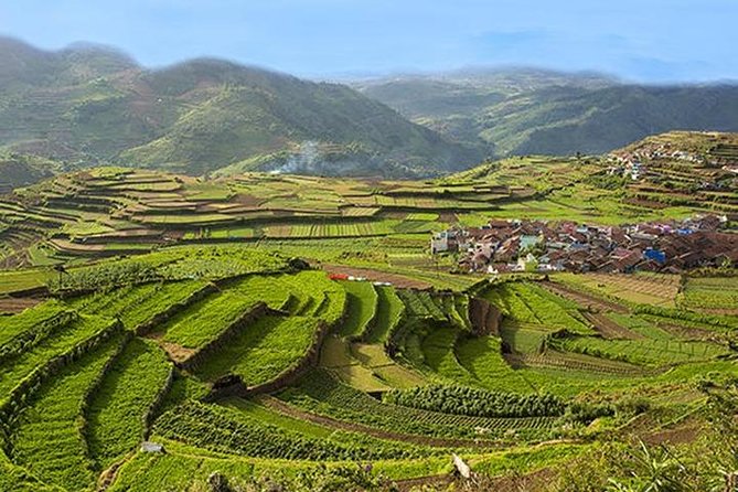 Kodaikanal Sightseeing Tour Package 3 Days & 2 Night