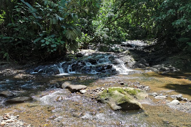 Kombi Tour Volio Waterfall and Chocolate Factory