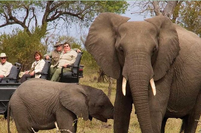 Kruger National Park 3 Day Private Safari From Johannesburg - Safari Itinerary Details