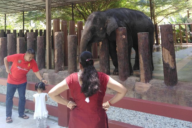 Kuala Gandah Elephant Sanctuary With a Batu Caves Visit - Transportation Details