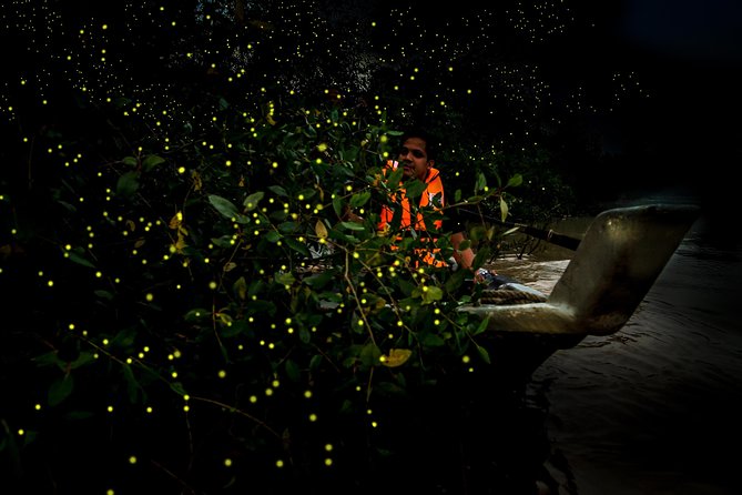 Kuala Selangor Fireflies - Batu Caves Temple- Malawati Hill DayTour With Dinner - Tour Itinerary Highlights