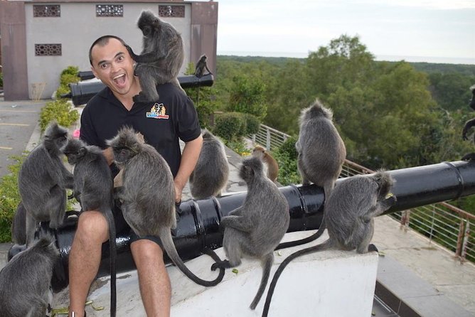 Kuala Selangor Firefly En-route Batu Caves Temple & Malawati Hill Day Tour With Sunset Dinner Sharing Basis SIC - Inclusions and Exclusions