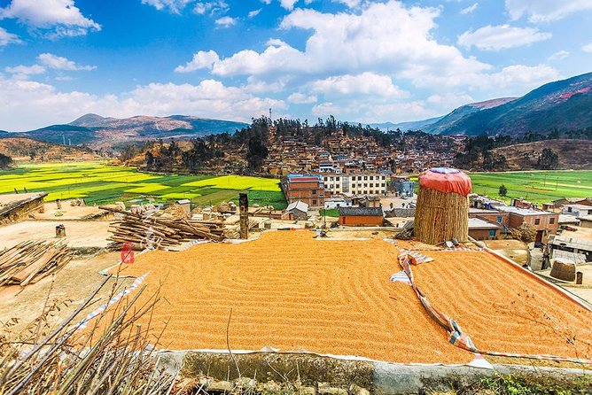 Kunming Private Day Tour to Stone Forest and Chengzi Ancient Town - Meeting and Pickup Information