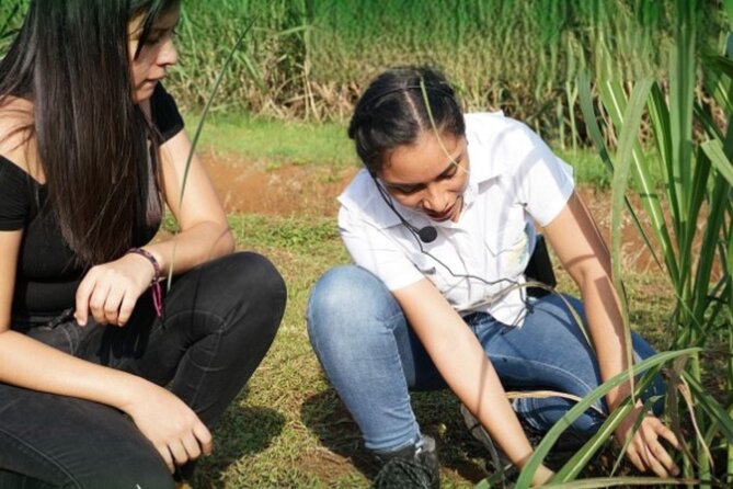 La Fortuna Sugarcane Experience Tour - Tour Highlights