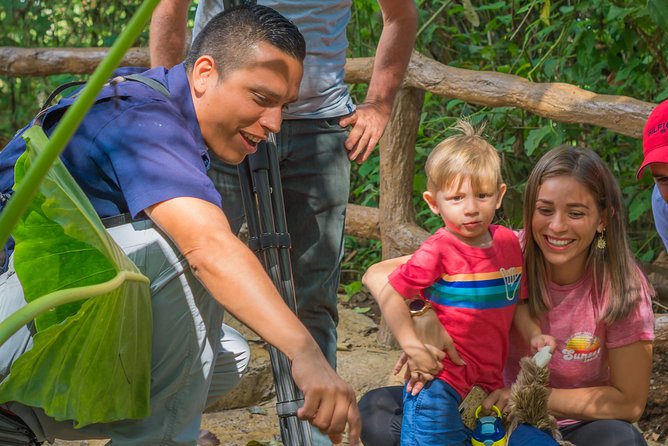 La Fortuna's Nature and Wildlife in a Single Day - Wildlife Encounter: Sloth Territory Exploration