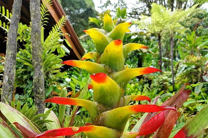 La Paz Waterfall Gardens Nature Park Full-Day Tour - Meeting and Pickup Information