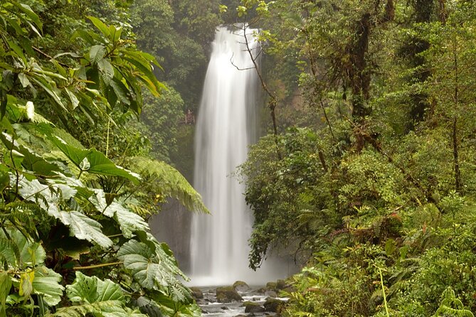 La Paz Waterfall Gardens (Transportation)
