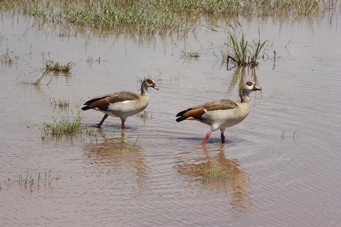 Lake Manyara National Park