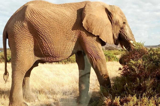 Lake Manyara, Serengeti and Ngoro Ngoro 4 Days Group Joining Tour