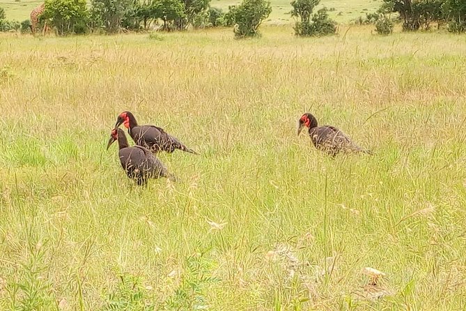 Lake Naivasha With Crescent Island 2-Day Safari From Nairobi - Itinerary Highlights