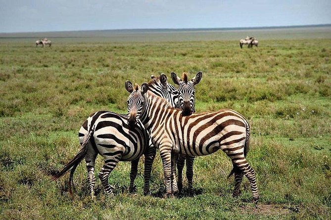 Lake Nakuru National Park Day Tour From Nairobi