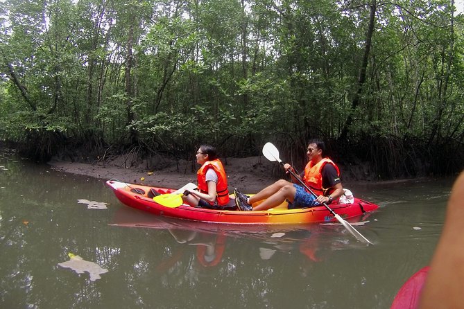 Langkawi Mangrove Kayaking Experience With Lunch - Tour Location and Activity