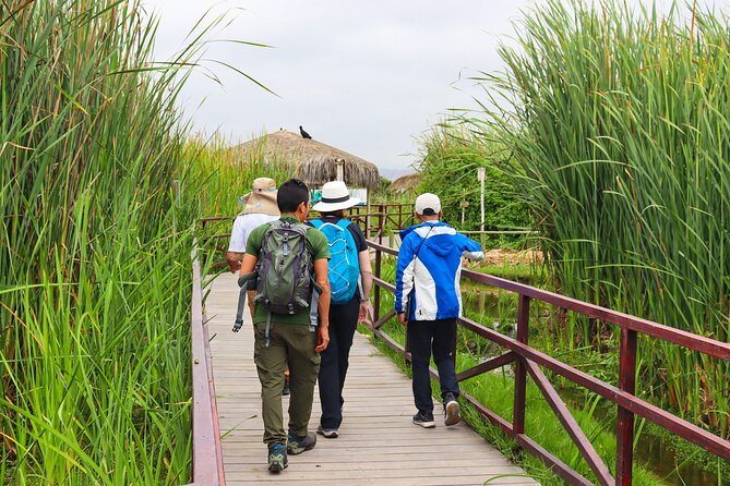 Last Little Wildlife Refuge in Lima