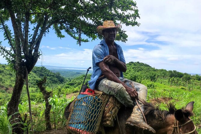 Learn Farming and Harvesting Stories in Villanueva Colombia
