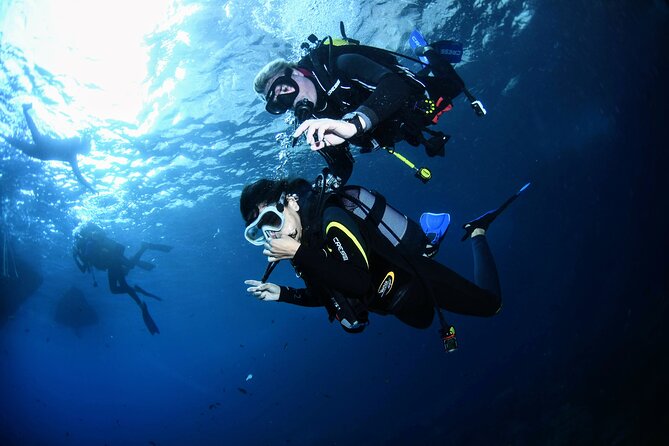 Lestartit: Try Diving in the Montgrí Natural Park 20MIN - Instructor and Meeting Point