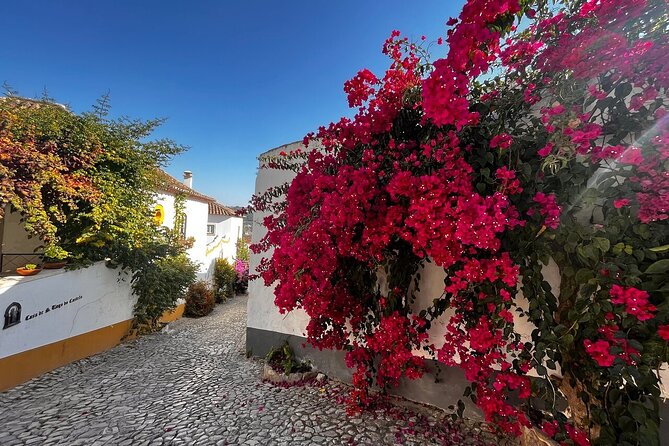 Lisbon and Obidos Private Day Trip From Porto