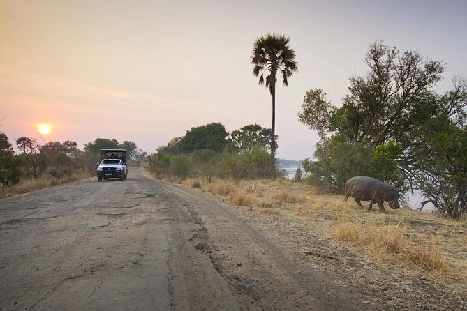 Livingstone Game Drive In The Mosi-Oa-Tunya National Park - Additional Tour Details