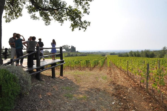 Livorno Private Shore Excursion of Volterra and Supertuscan Bolgheri - Tour Highlights
