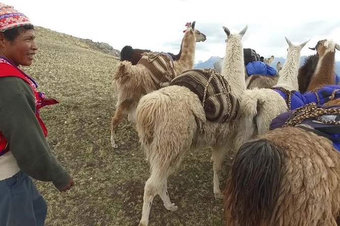 Llama Treck to Huchuy Qosqo 2 Days - Accommodation Information