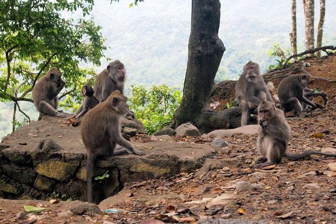 Lombok Waterfall Day Tour With Private Transport