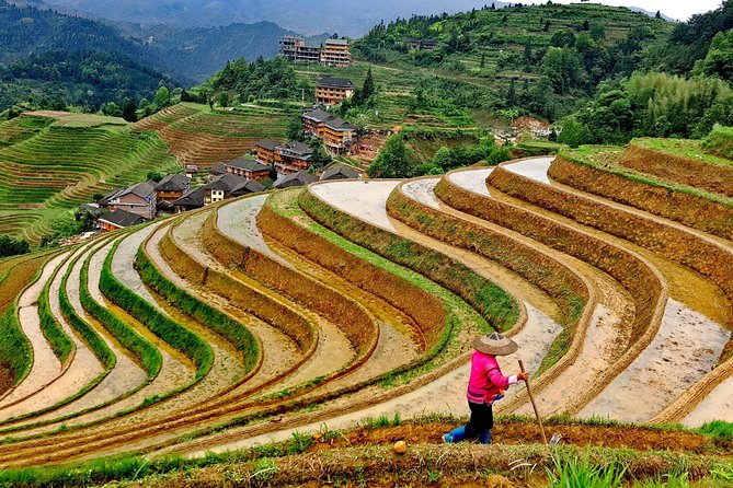 Longji Rice Terraces Day Tour With the Pingan and Dazhai Village - Pickup and Starting Time