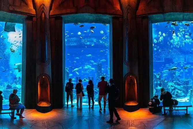 Lost Chambers Aquarium Entry Ticket With Transfer From Dubai