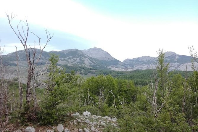 Lovcen Mountain Circle Panoramic - Hiking Tours in Montenegro - Tour Details