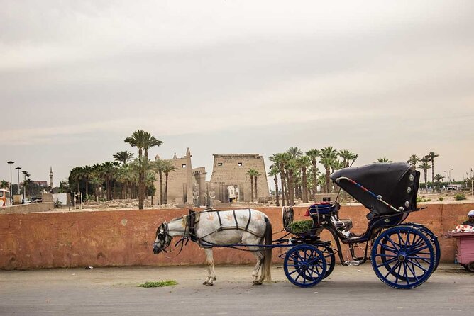 Luxor City Private Tour by Horse Carriage - Inclusions and Exclusions