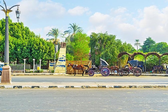 Luxor City Tour by Horse Carriage - Tour Inclusions and Benefits