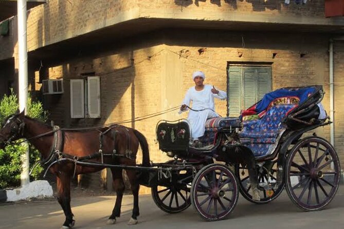 Luxor City Tour By Horse Carriage From West Bank - Horse Carriage Experience