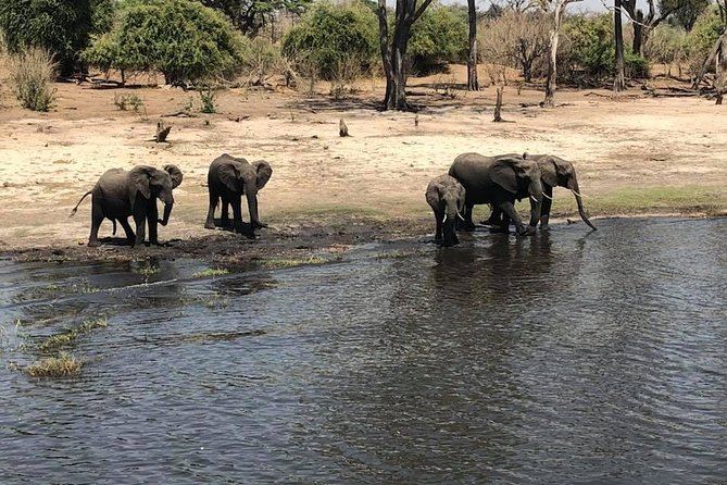 Luxurious Dinner Cruise, Victoria Falls - Cruise Highlights