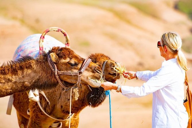 Luxury Agafay Desert & Atlas Mountains Full-Day Trip With Camel Ride - Trip Overview