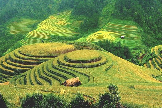 Luxury Ha Giang 3 Days From Hanoi - Tour Highlights