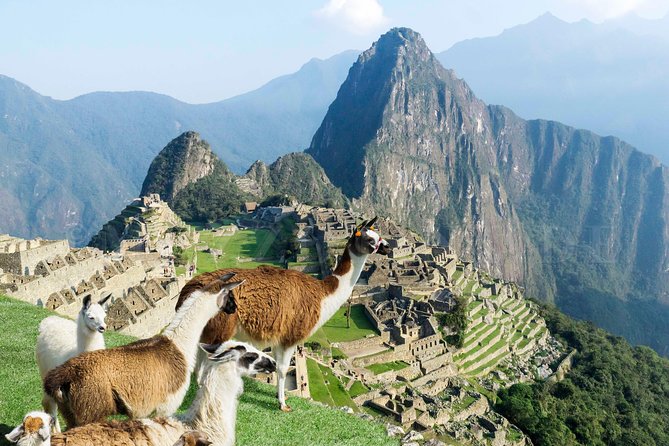 Machu Picchu 1-Day Tour From Cusco | by Train From Ollantaytambo
