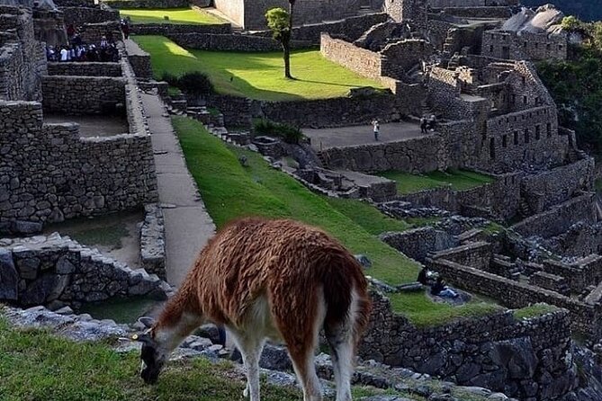 Machu Picchu by Car 3-Day 2-Night Including Huayna Picchu - Itinerary Highlights