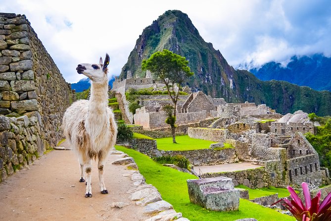 Machu Picchu By Train Full Day Tour From Cusco