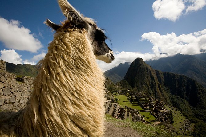 Machu Picchu Day Trip First Class Train Option From Poroy - Tour Inclusions