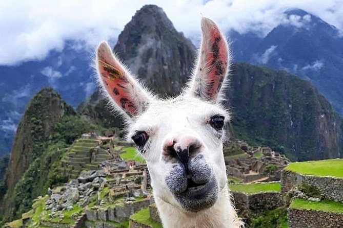 Machu Picchu Travel