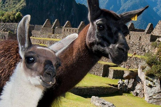 Machupicchu Day Tour From Cusco