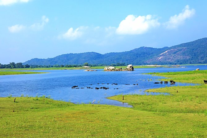Maduru Oya National Park Private Safari With Naturalist