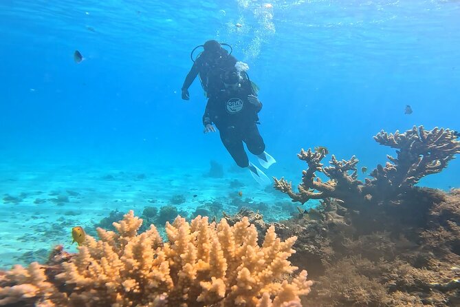 Magaweesh Island Snorkeling Trip With Water Sports From Hurghada