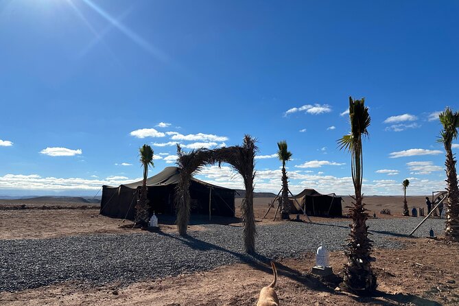 Magical Dinner at the Agafay Desert