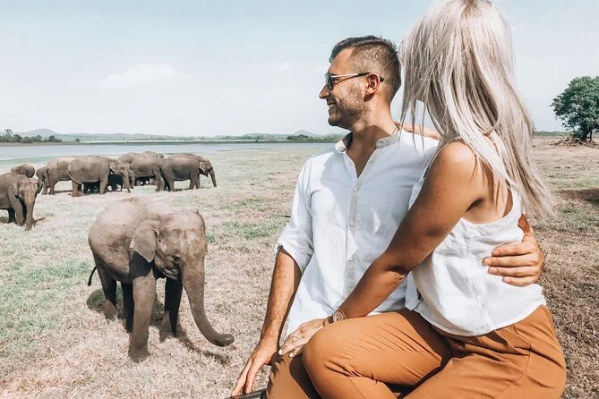 Majestic Mammals Of Sri Lanka: Whale & Elephant Safari Tour